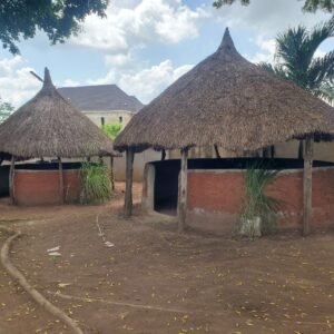 Moremi Village